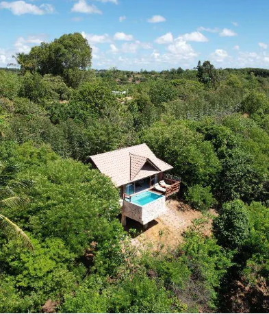 Ecolodge: Bangalôs para aluguel